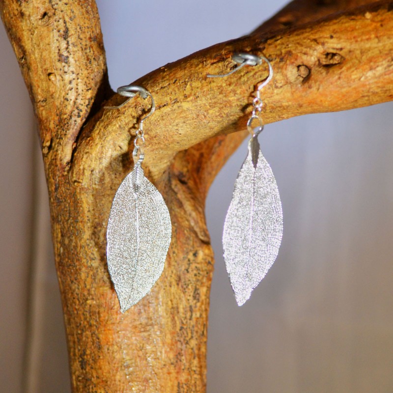 Eucalyptus Blad Zilver 4 cm