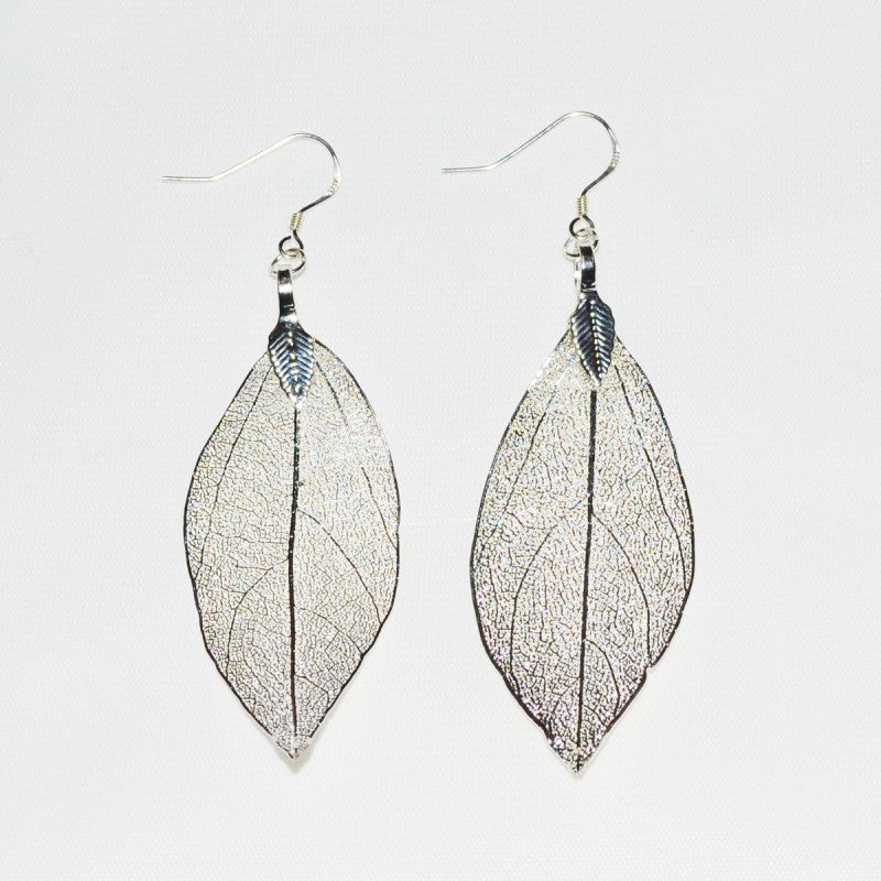 Eucalyptus Blad Zilver 4 cm