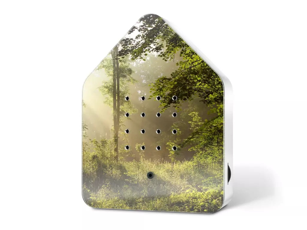 #Kleur_Forest