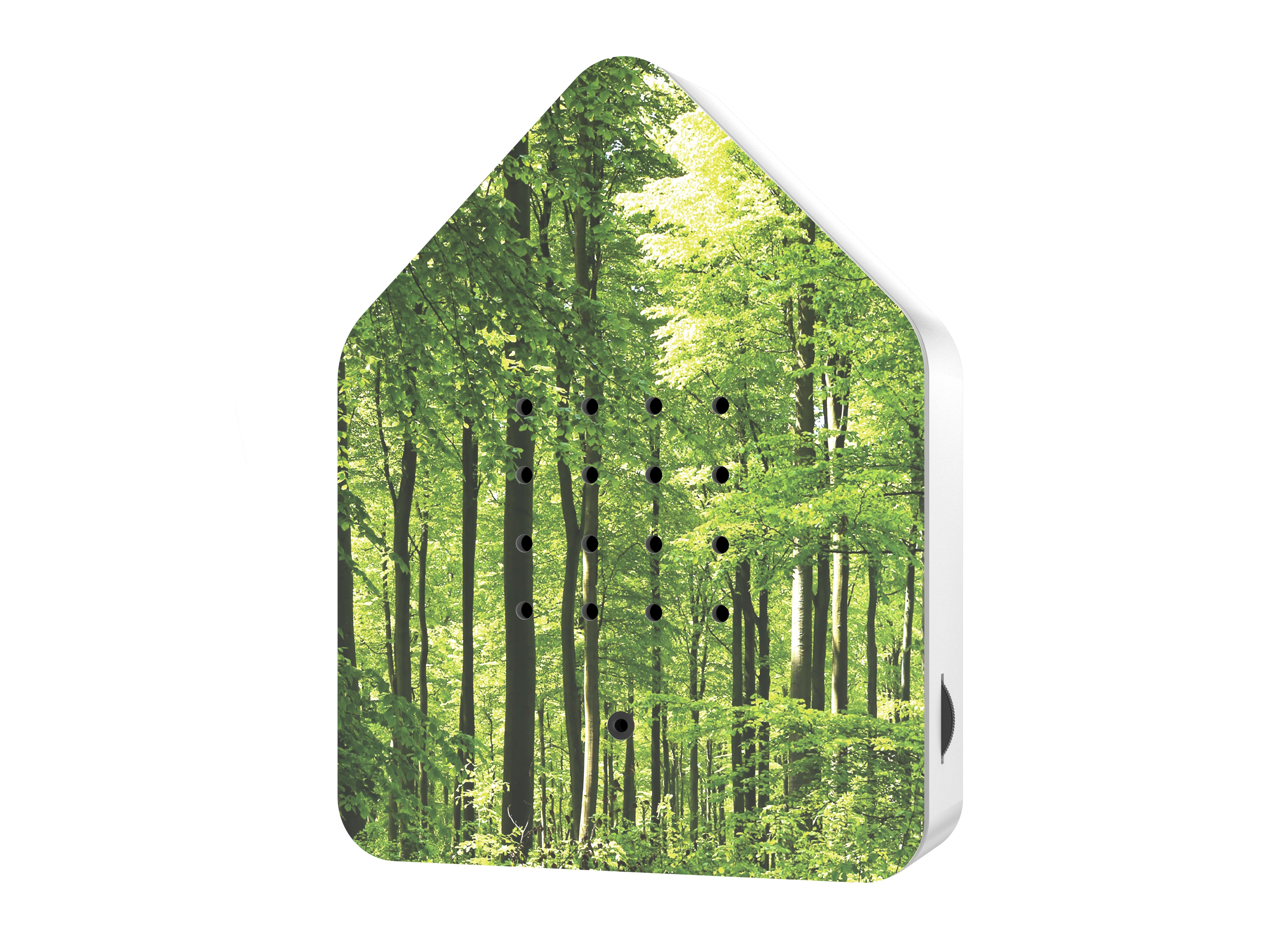 Zwitscherbox-forest