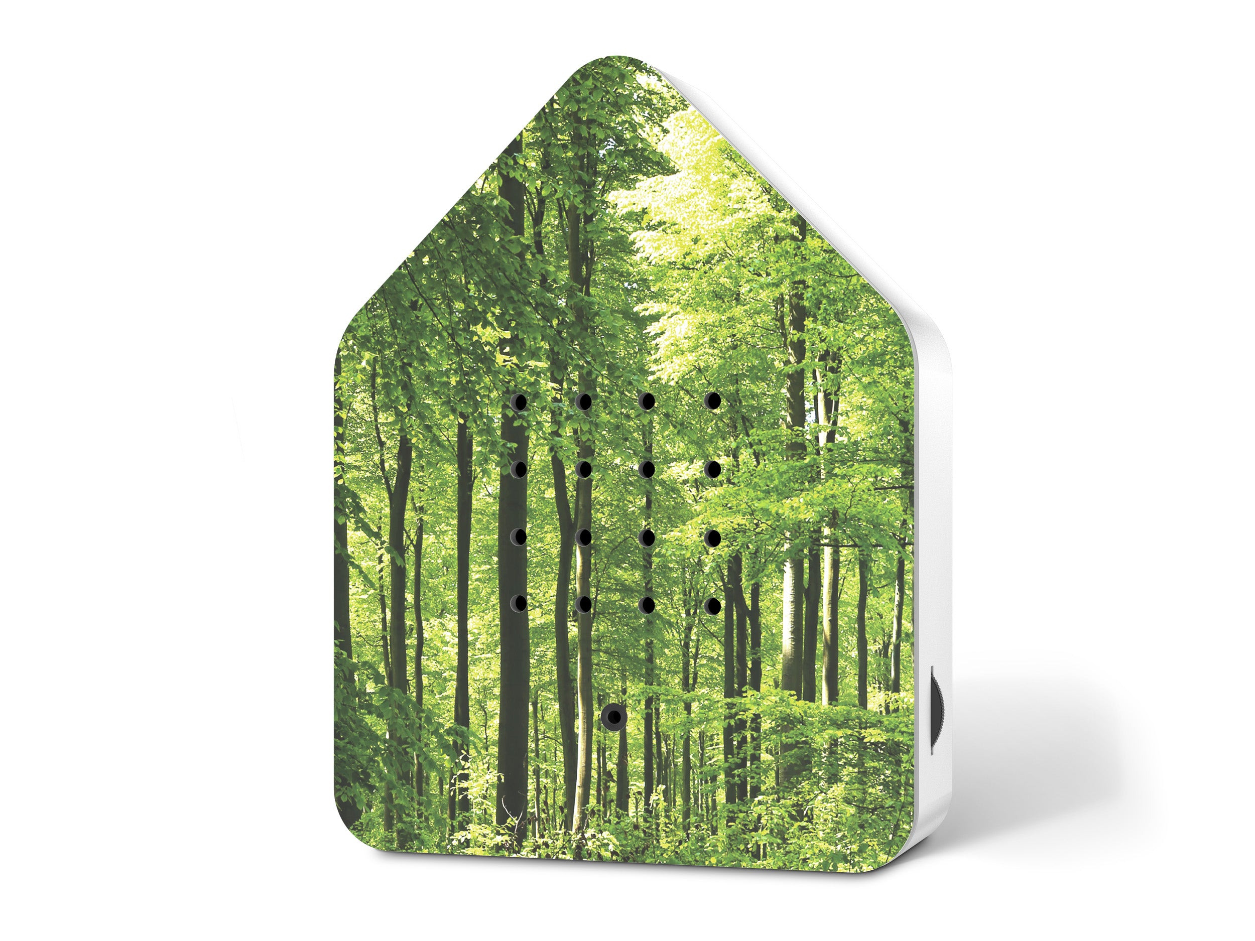 #Kleur_Forest