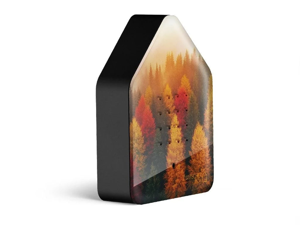 Zwitscherbox Golden Leaves