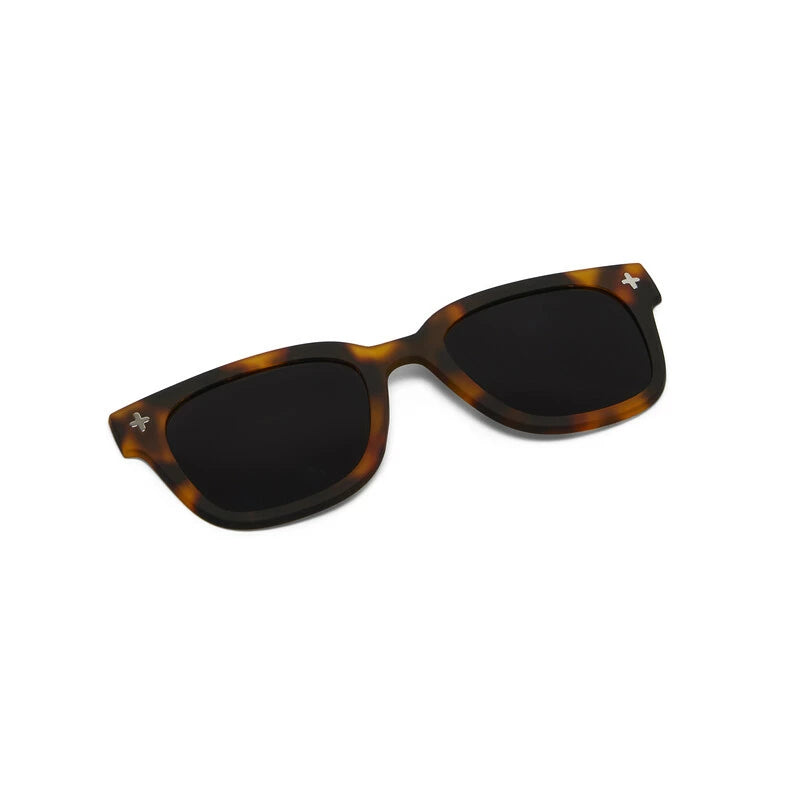 MAGMASK CLIP-ON giovanni classic havanna