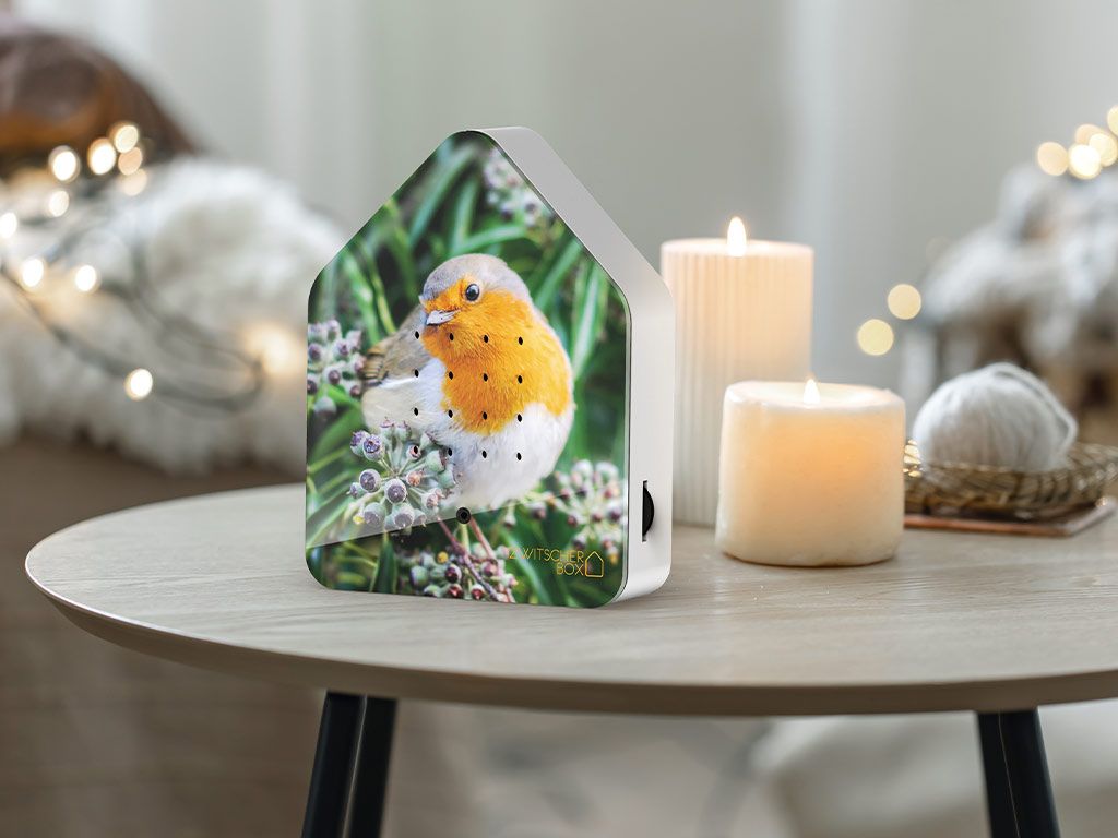 Zwitscherbox Robin Redbreast